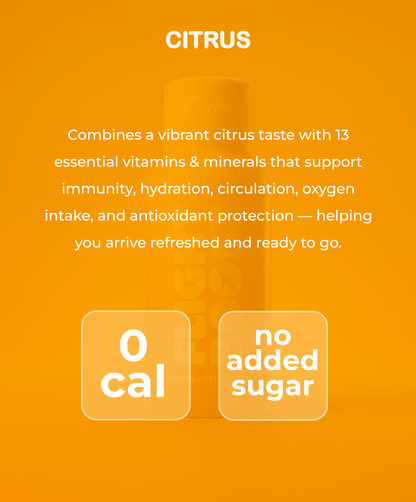Flight Boost Citrus - 6-Pack
